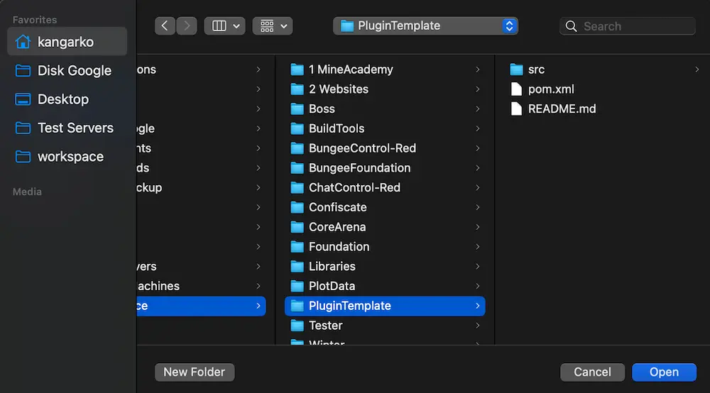 Selecting PluginTemplate folder to open it as a project.