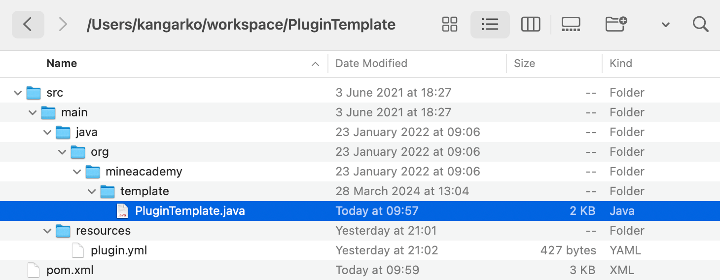 PluginTemplate file structure.